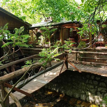 Hotel Etno Kuca Sa Konacistem Gocko à Vrnjačka Banja Extérieur photo